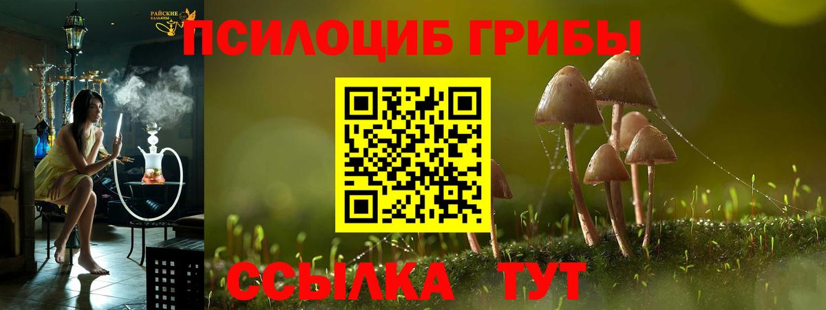 Галлюциногенные грибы MAGIC MUSHROOMS  Вход с VPN  Валуйки  Псилоцибиновые грибы мицелий 